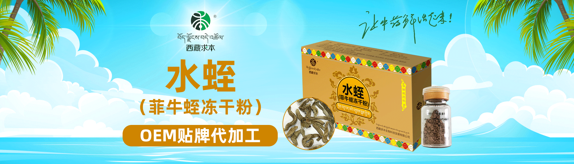 水蛭（菲牛蛭冻干粉）