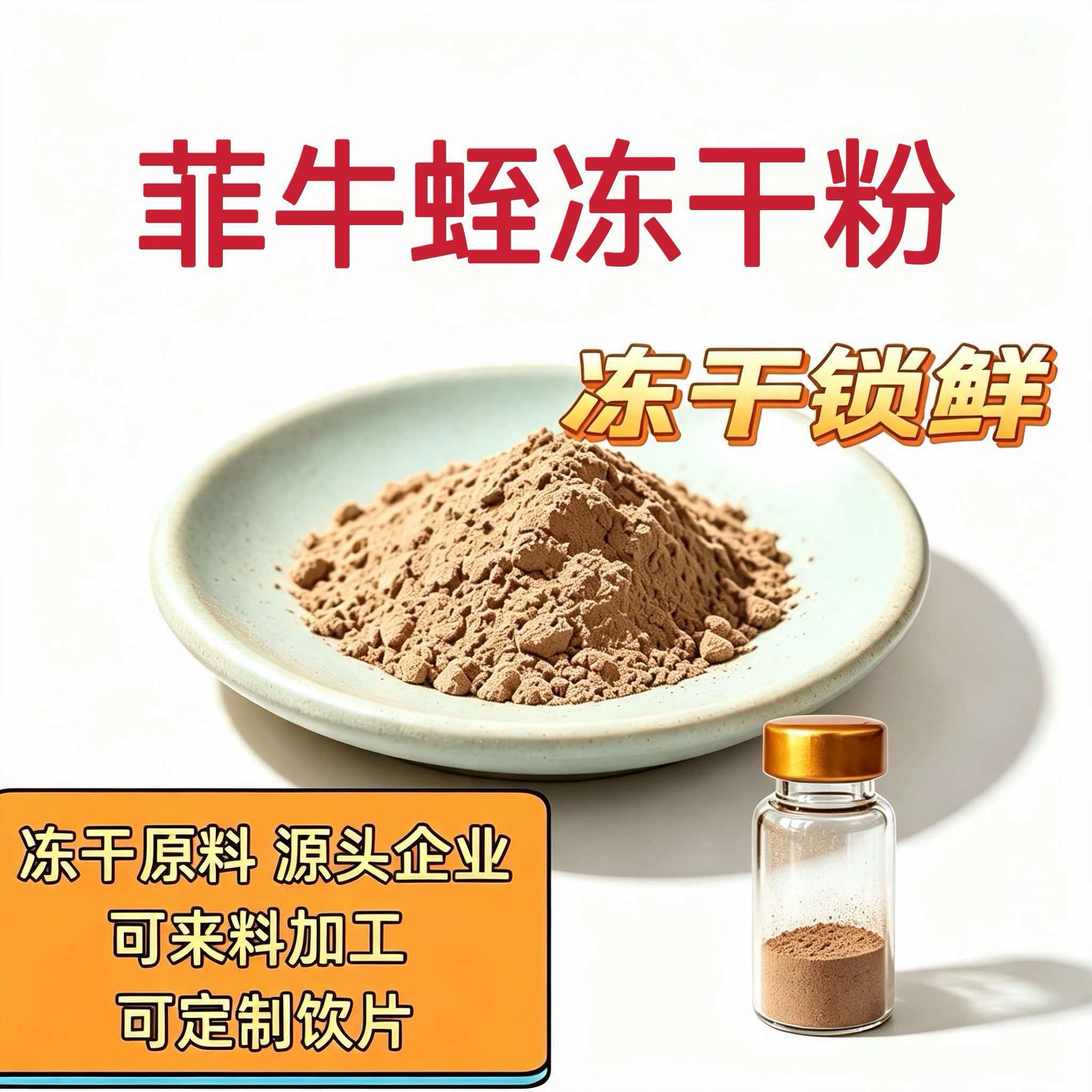水蛭（菲牛蛭）（定制）
