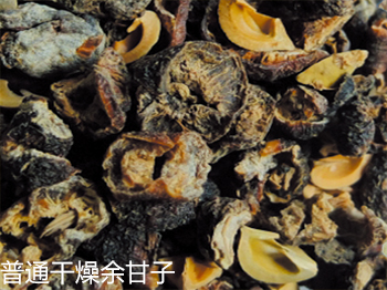 余甘子细节比对2